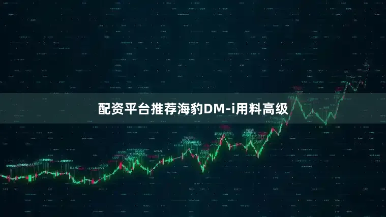 配资平台推荐海豹DM-i用料高级