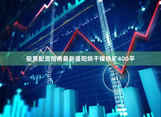 股票配资指南最新盛阳烘干镍铁矿400平