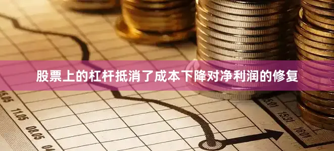 股票上的杠杆抵消了成本下降对净利润的修复