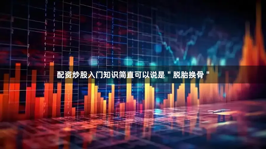 配资炒股入门知识简直可以说是＂脱胎换骨＂